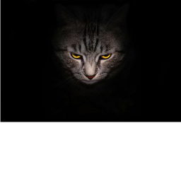 meowland