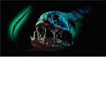 abyssal