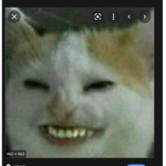— Ranking Avatars! —