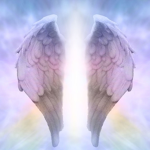 danis angels <3