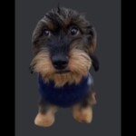 (FREE SKIP) Wraparound Difficulty Chart Obby