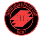 ESFL - European Soccer Federation League
