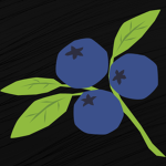 A_Blueberry Studios