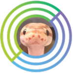 Python incorporated