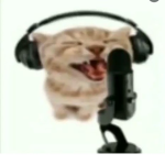 Monke United M.U.