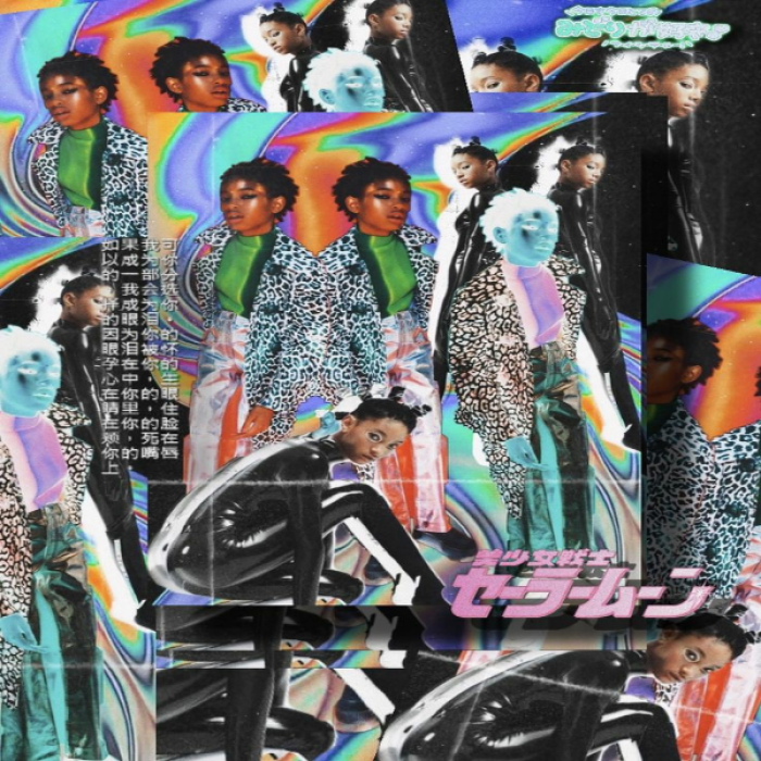 [WILLOW SMITH][CYBERCORE][Y2K][PICTURES][AESTHETIC Roblox decal