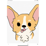 Corgi puppy