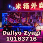 D A L L Y O _ Z Y A G I