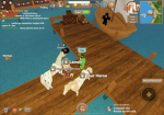 Wild horse island competitions