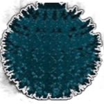 HolaTechnoblade