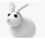 The Bunny Co
