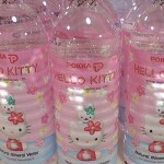 ✧･ﾟ: *✧･ﾟ:*