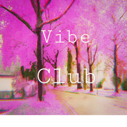 Vibe Club