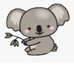 koala_plays officialgroup