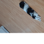 Alicia tu amiga :)