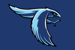 roblox perry community group