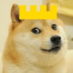 Doges,inc.