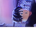 yt_puples fan group
