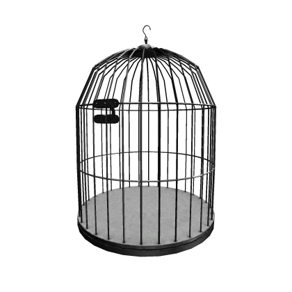 Black Bird Cage Hat Roblox item