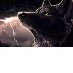 Thunder wolfs games