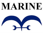 One Piece:Starting Legend Marine