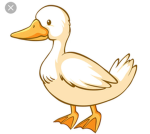 Grupo do patoka