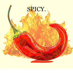 Spicy Wrap