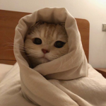 emoAshTarikuwubaka