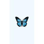 Butterflyss27
