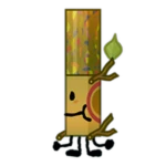 Eucalyptus Marker
