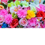 Floral Friends<3