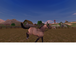 ~*The pony club*~