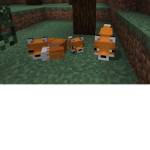 The tree foxes