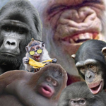 DeepFriedMonkeys