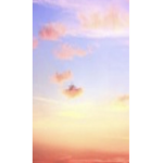 Robloxkid8112