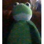 It is a frog!!!