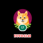 Yoyo groupe