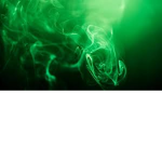 Not Toxic Squad