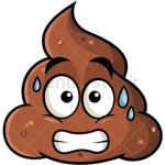 POOPY NATION