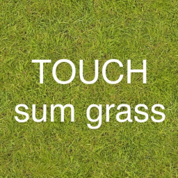 TOUCH sum grass