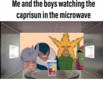 MICROWAVED CAPRISUN