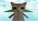 Team gato no team perro