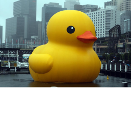 Duck Pond