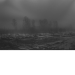 Dark Fog Studios