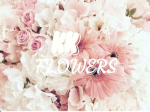 KK FLOWERS