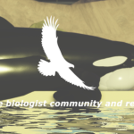 Marine Biologist Community & Rescue | MBCR