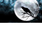 Black_Crown