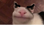 Robuxforselina