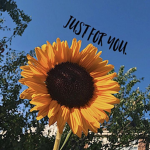 Sunflower Group! <3!