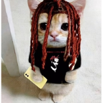mykitty20